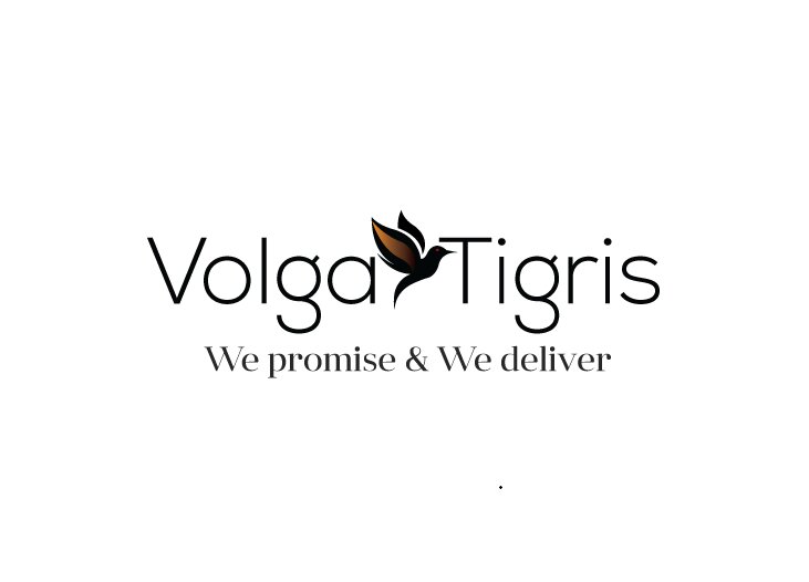 Volga Tigris Marketing Agency